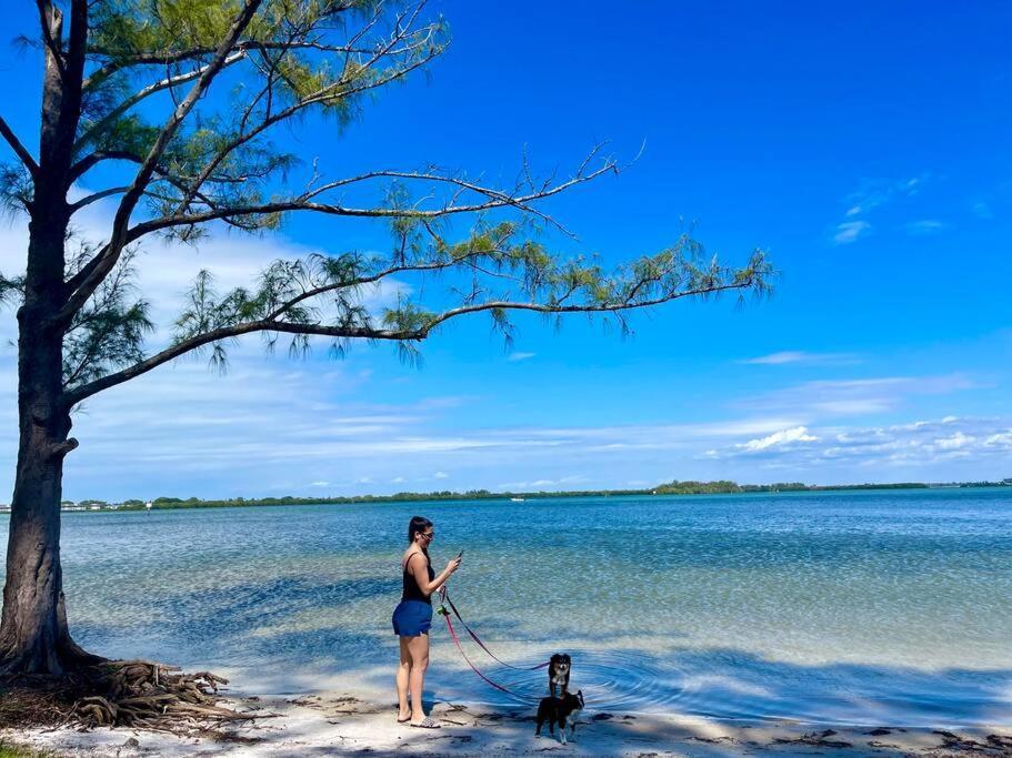 New Dog Paradise - Near The Beach Img & Downtown Μπράντεντον Εξωτερικό φωτογραφία